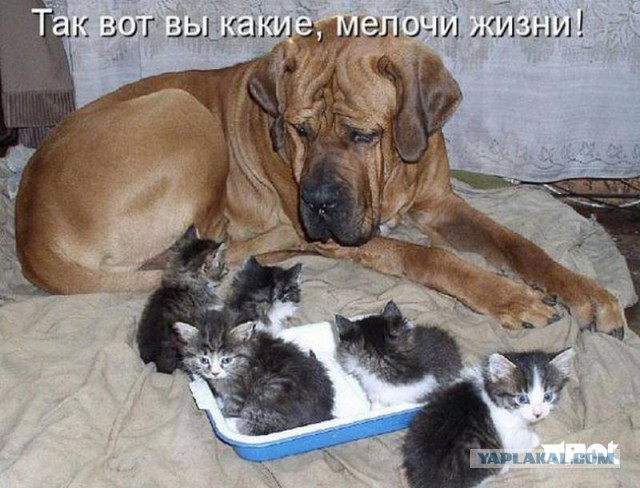 Как стать друзьями