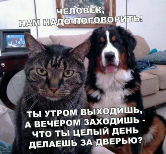 Немного картинок 28.06