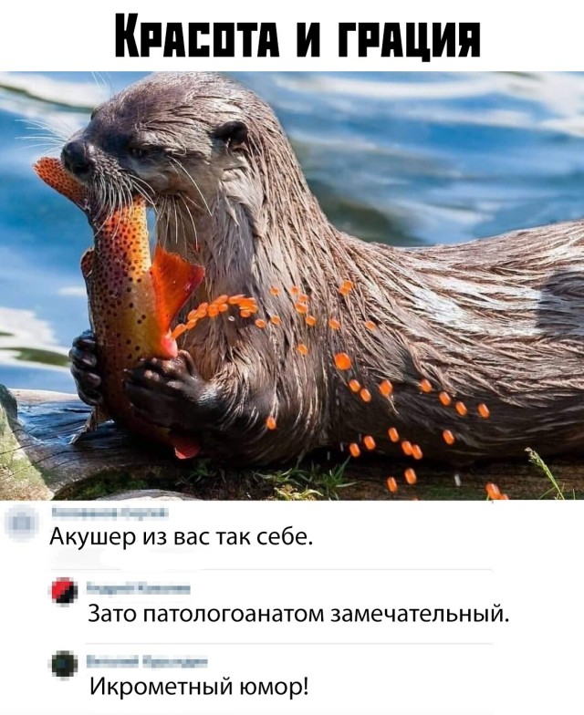 Немного картинок с надписями и без - 16