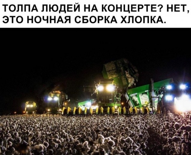 Немного картинок для настроения