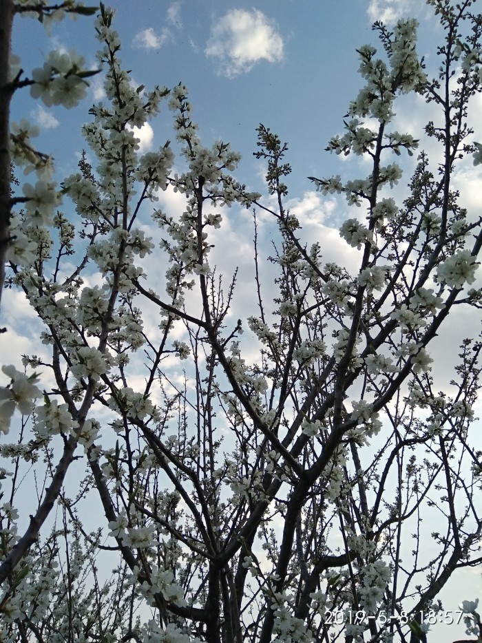 Сам себе фотограф