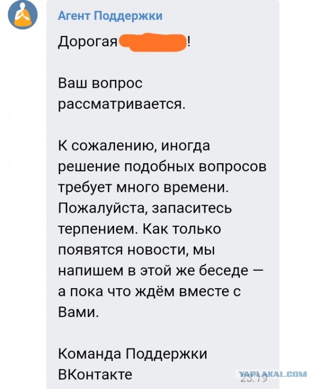 Помогите вернуть кота! Приют "Преданное сердце" украл кота и не отдает!-2