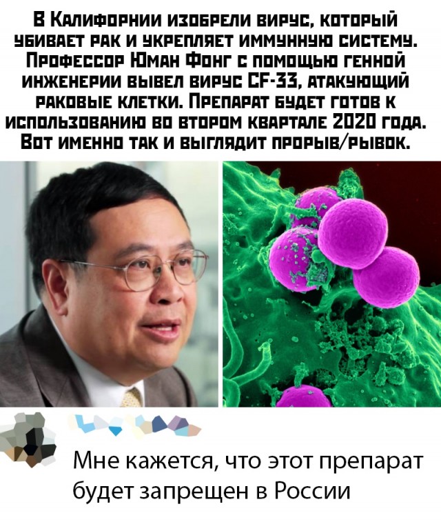 Немного картинок для настроения 06.12.19