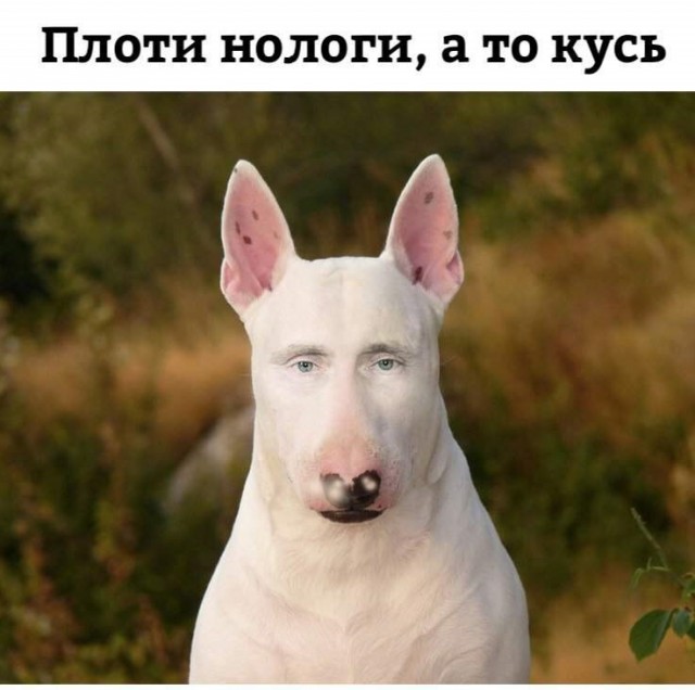 Россияне о предстоящей пресс-конференции