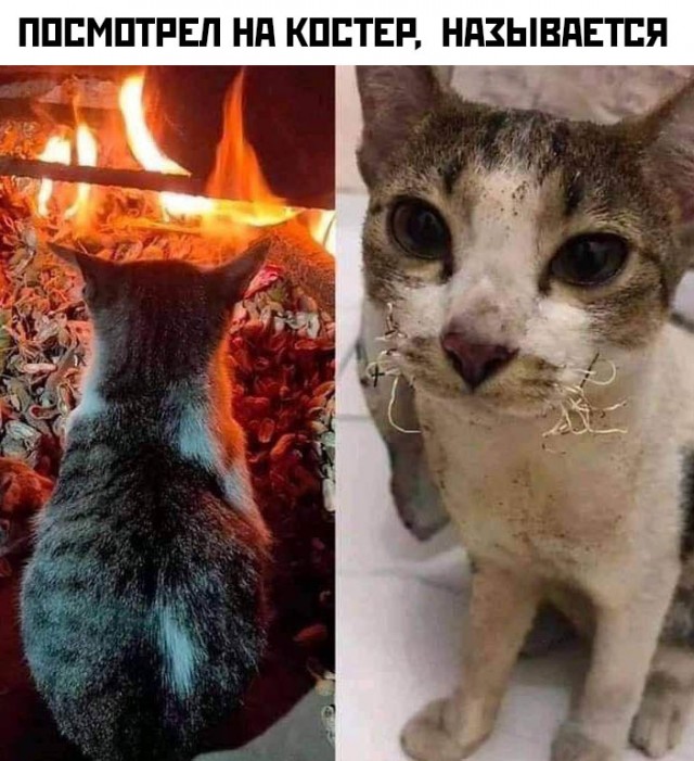 Немного картинок с надписями и без - 43