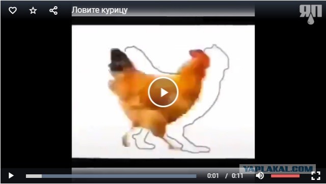 Кому нечем заняться: ловите курицу, нажимая на паузу