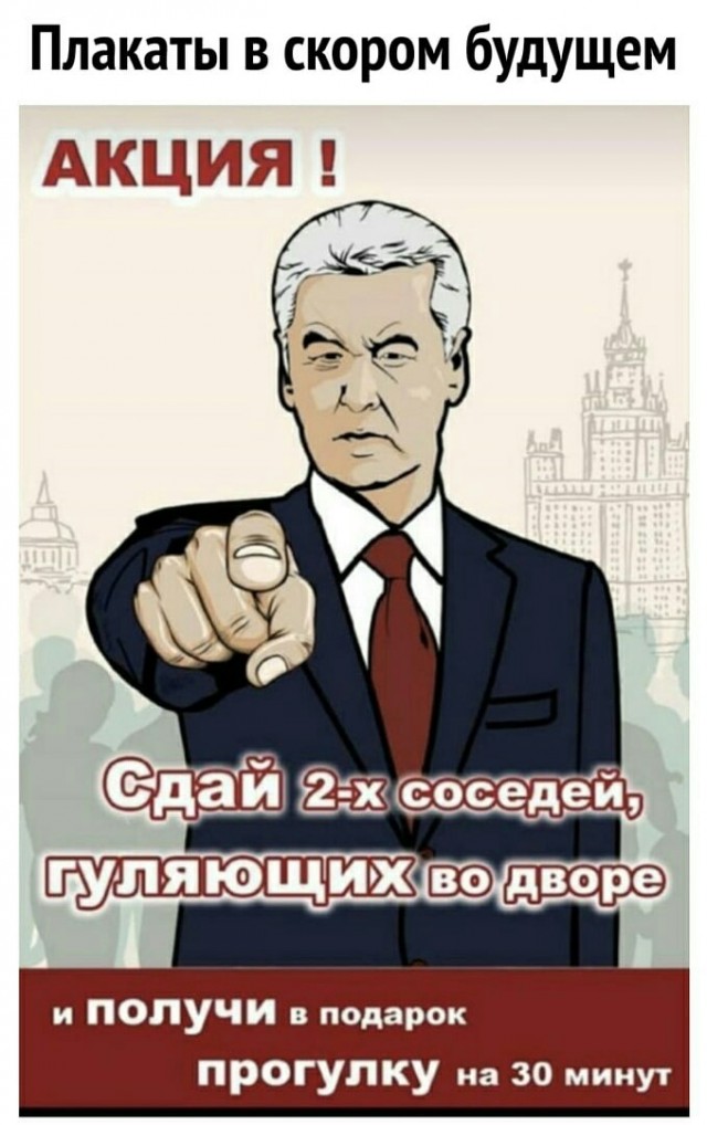 Власти Москвы разъяснили условия поездок на дачу и к родственникам
