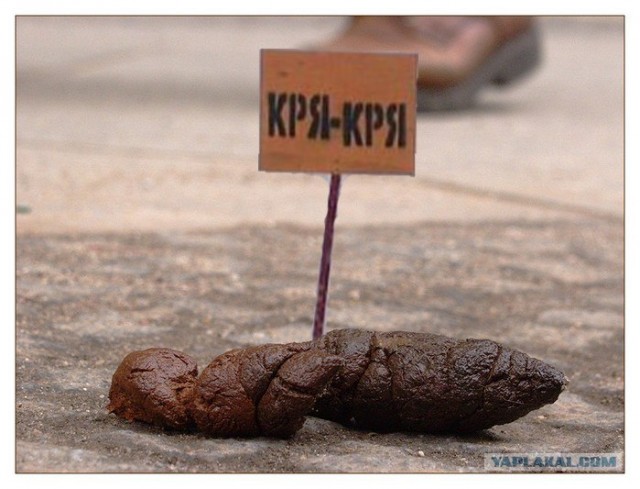 Фотожаба: КРЯ-КРЯ!