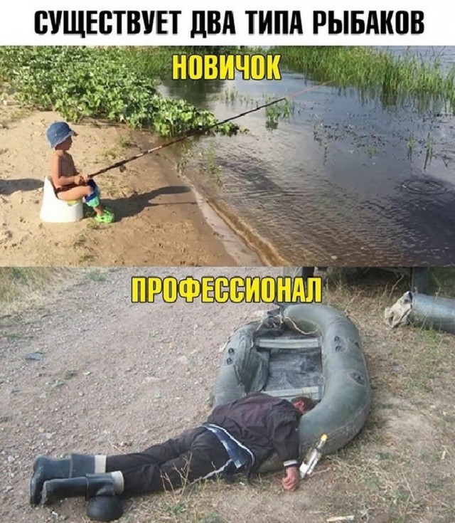 Юмор в картинках
