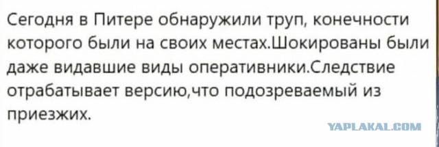 В Петербурге обнаружили обезглавленное тело