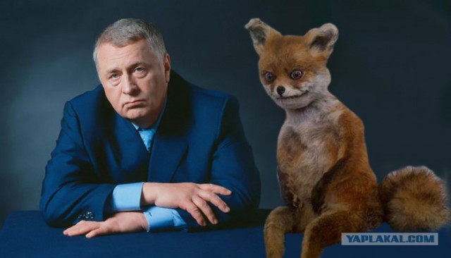 Таксидермия + наркомания