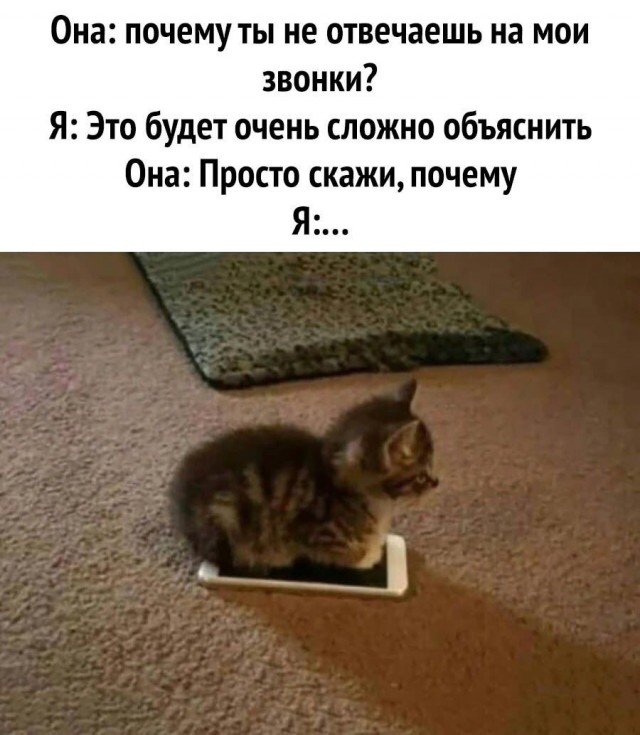 Так себе картинки 29.04.21