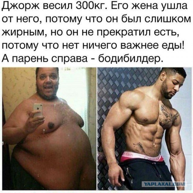 Забавные шутки, картинки и фразы из этих ваших интернетов 15.06.2021