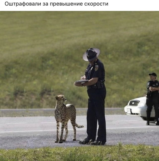 Всяческие картинки 19.07.2021