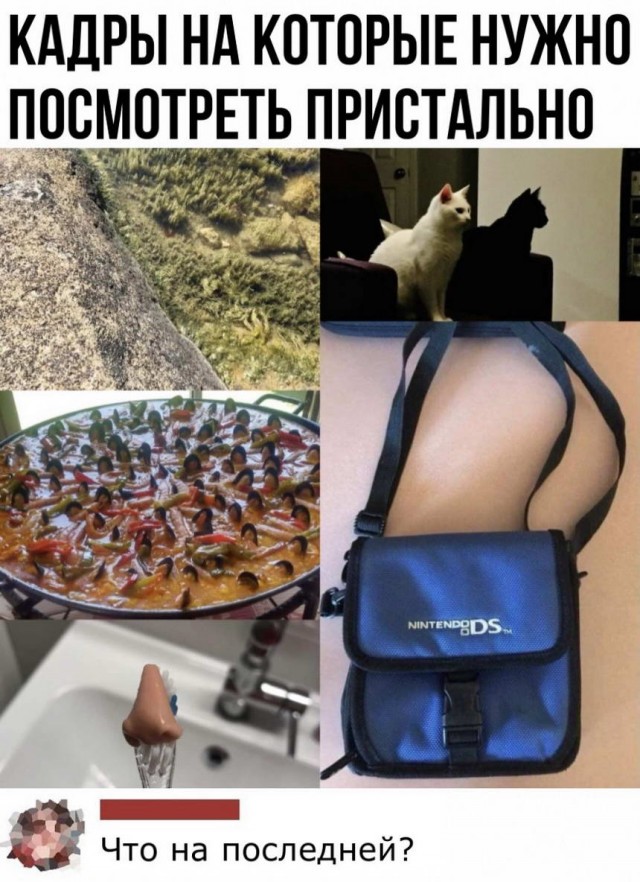 Картинки и мемы для настроения 04.08.2021