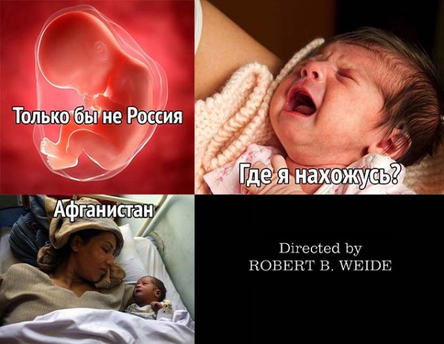Кретинизмы из сети 19.08.2021