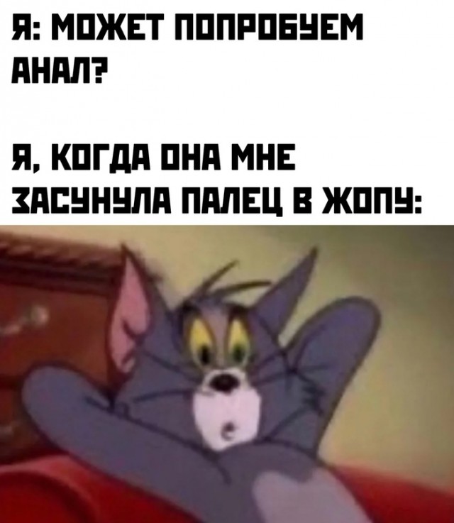 Весёлый полтишок 02.10