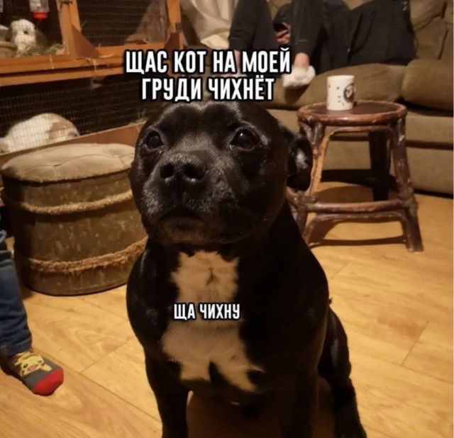 Прикольные и просто красивые картинки 01.11.2021