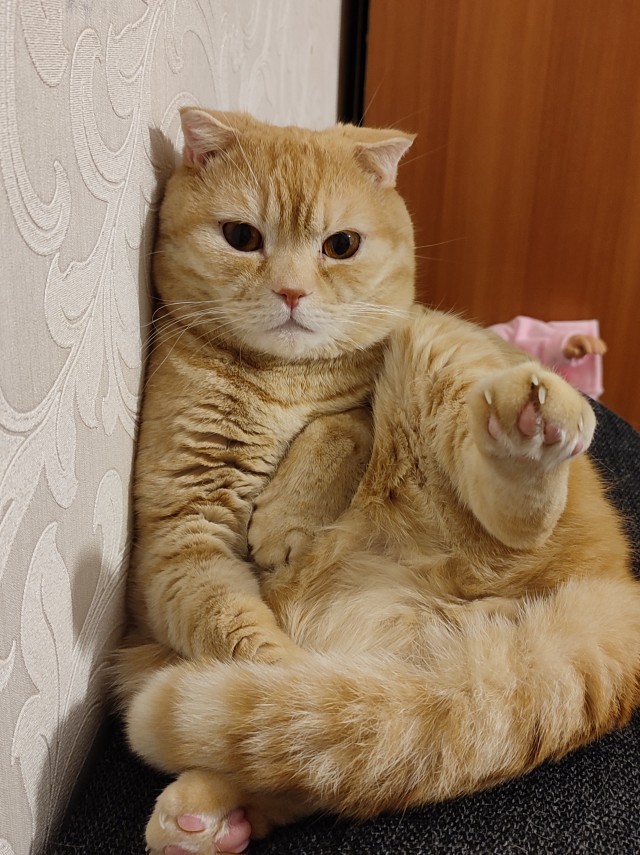 Вторник жеш!