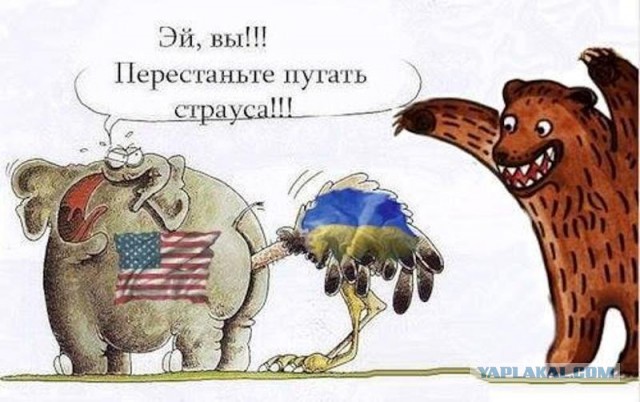На Украине назвали сроки российского вторжения в страну