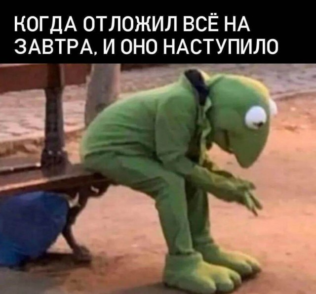 Разные картинки для настроения на любой вкус - 6