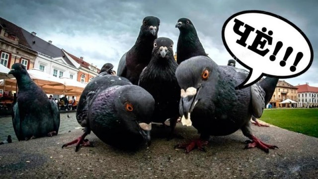 Помог маленькому