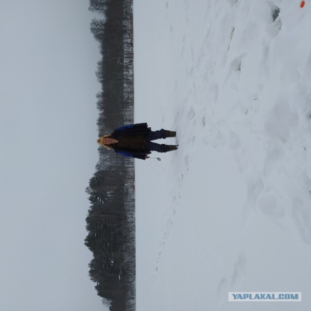 О рыбалке