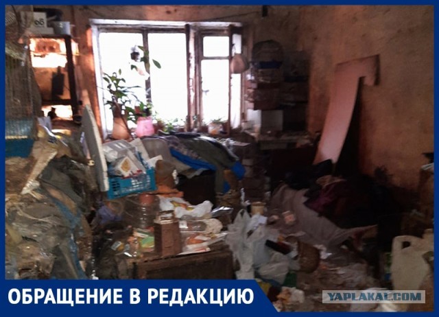 Гниющие животные вперемешку с живыми: в Воронеже вскрыли смердящую квартиру
