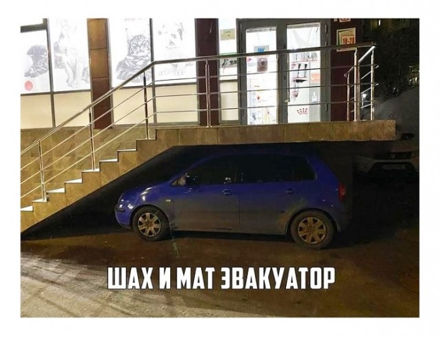 40 картинок разных 03.02.2022