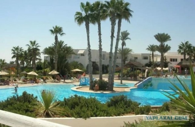 Турция, Египет и Тунис подтвердили, что ждут российских туристов