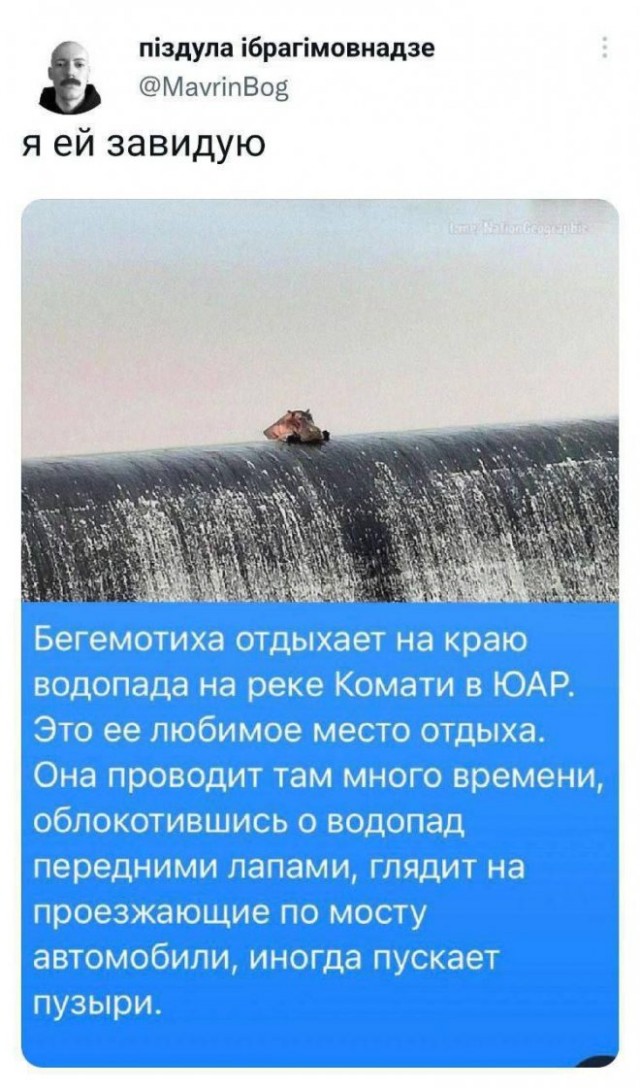 Картинки и мемы для настроения - 14