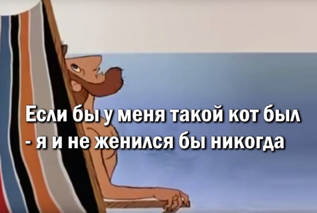 Был бы у меня такой кот...