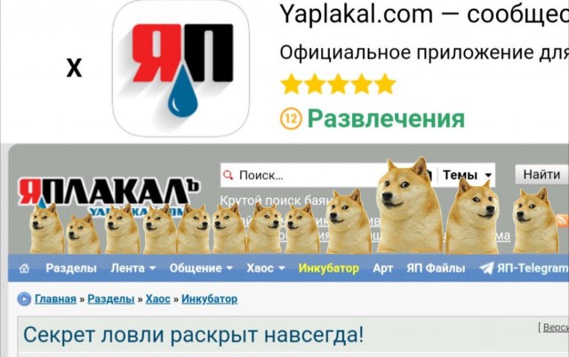 Секрет ловли раскрыт навсегда!