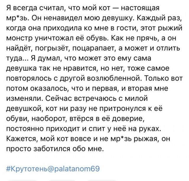 Картинки и мемы для настроения - 125