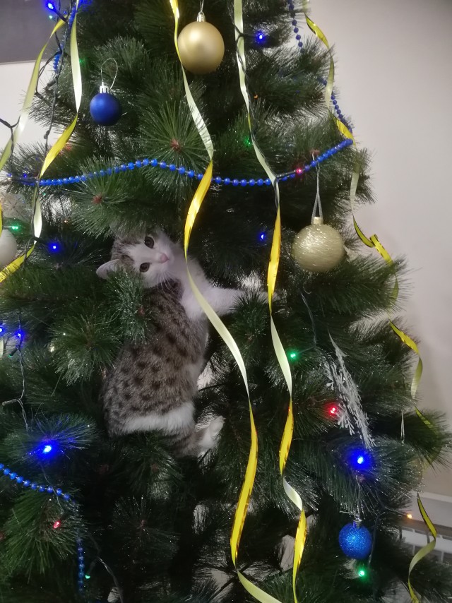 Новогодняя игрушка
