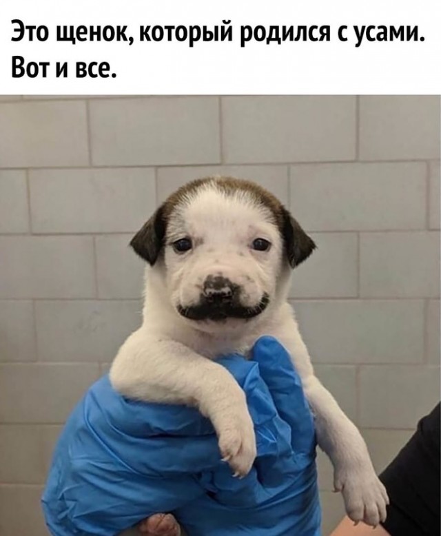 Немного картинок для настроения
