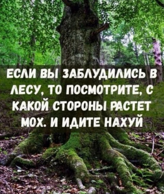 Нуштош 11.03.23