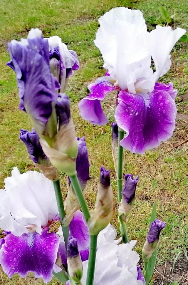 Завтра на работу...