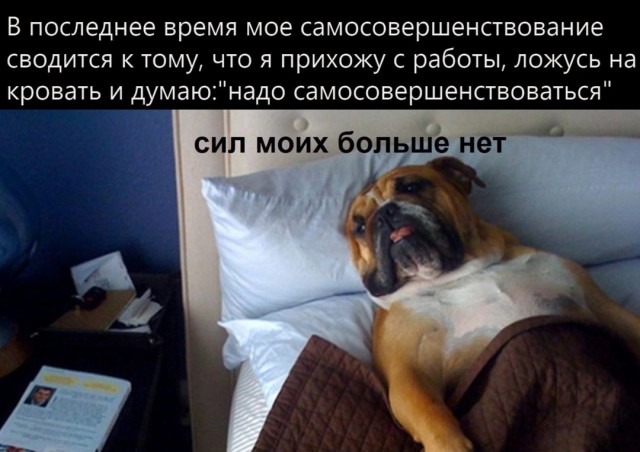 Что может дать 40-50 летняя старушка парню ровеснику