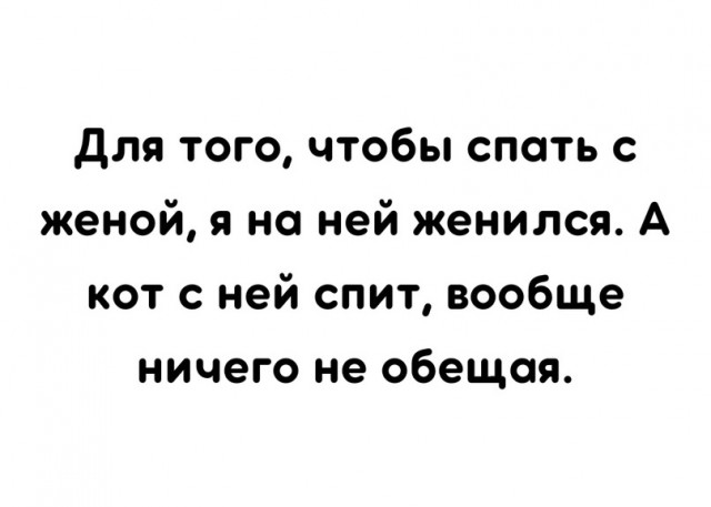 Скупка краденого из сети 08-08-2023