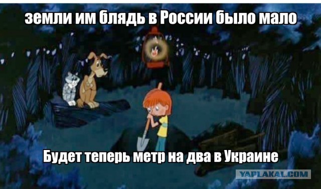 Минтруд: более половины участников СВО, ставших инвалидами, имеют ампутации