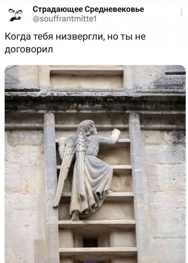 Отряд быстрого деградирования