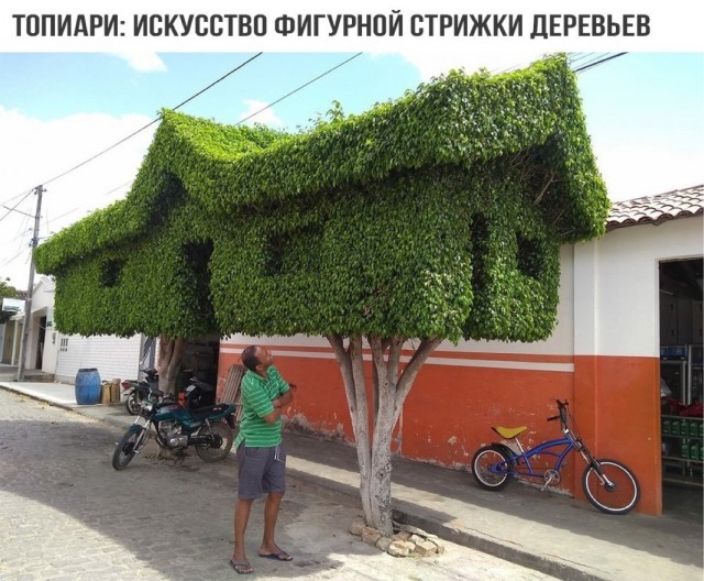 Разная всячина из жизни