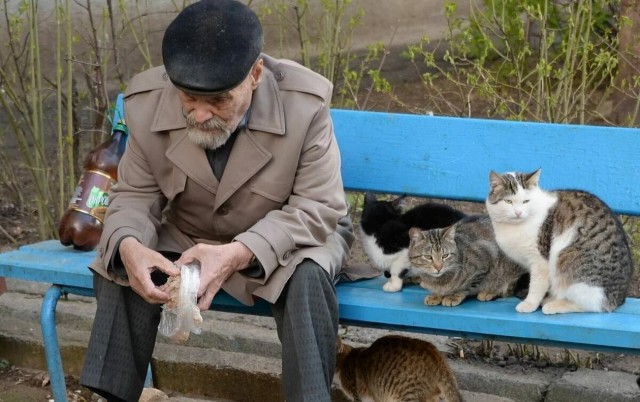Котовторник уже пришёл?