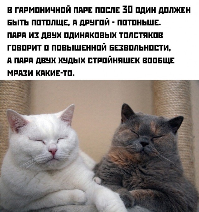 Весёлый полтишок 04.03.24