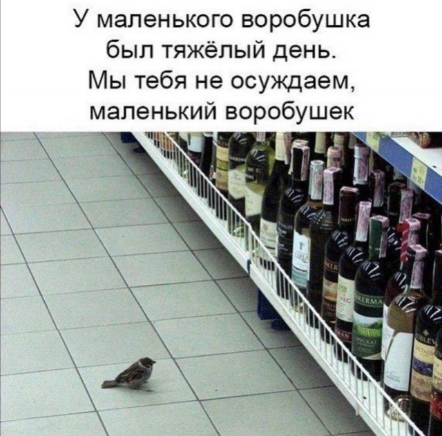 Алкопост