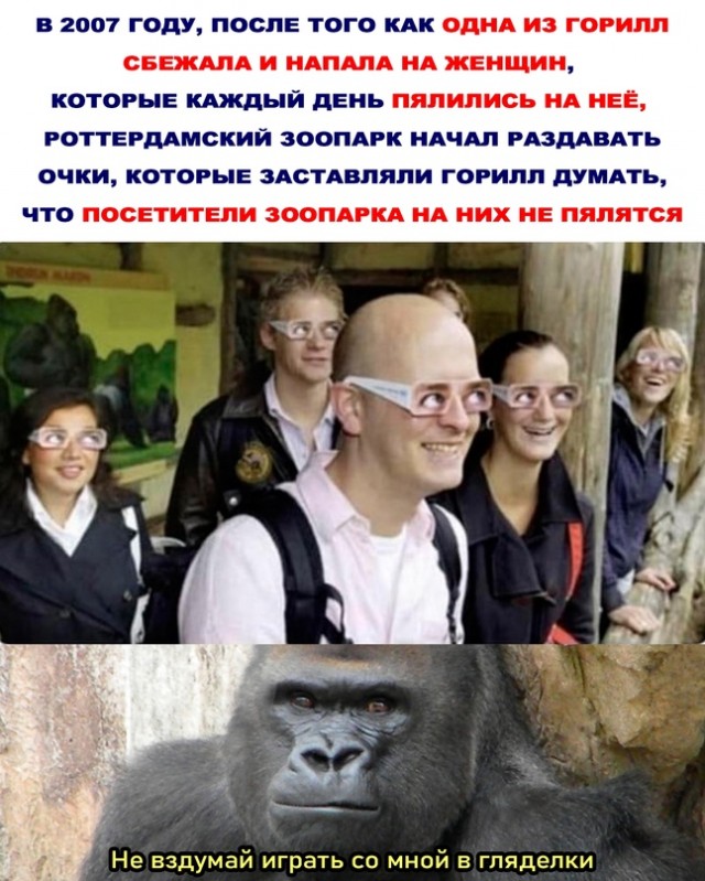 Весёлый полтишок 27.05.24