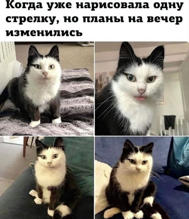 Завалялось тут случайно немного забавных картинок