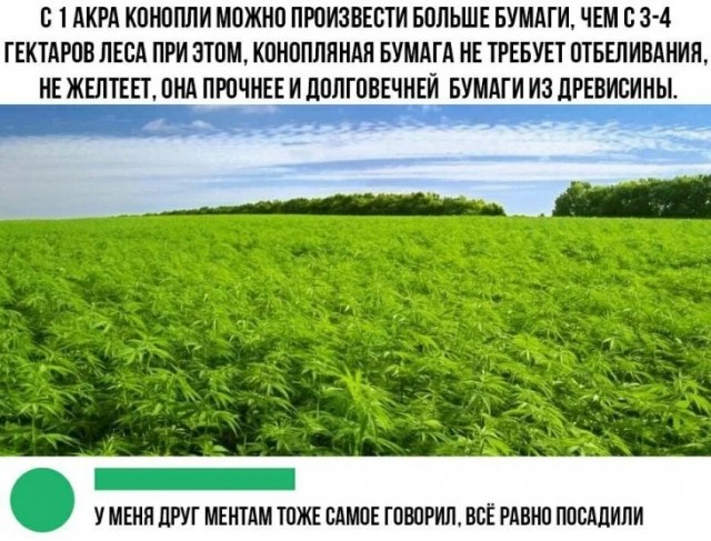 Весёлый полтишок 02.07.24