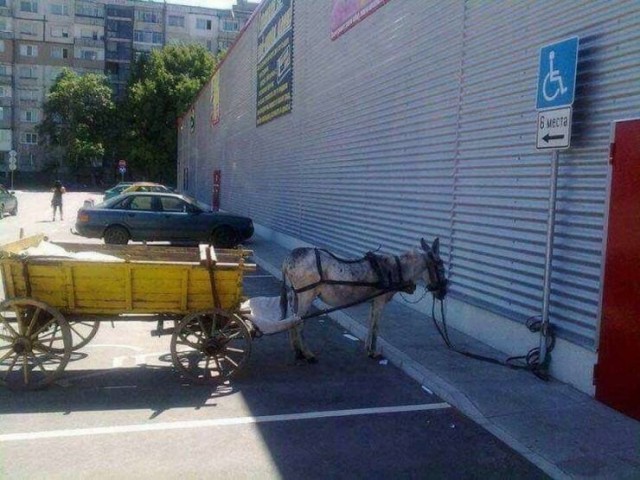 ФотоВинегрет